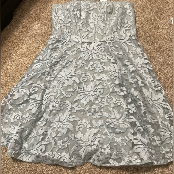 Ann Taylor Dresses & Skirts - Ann Taylor Lace Dress- tags still on